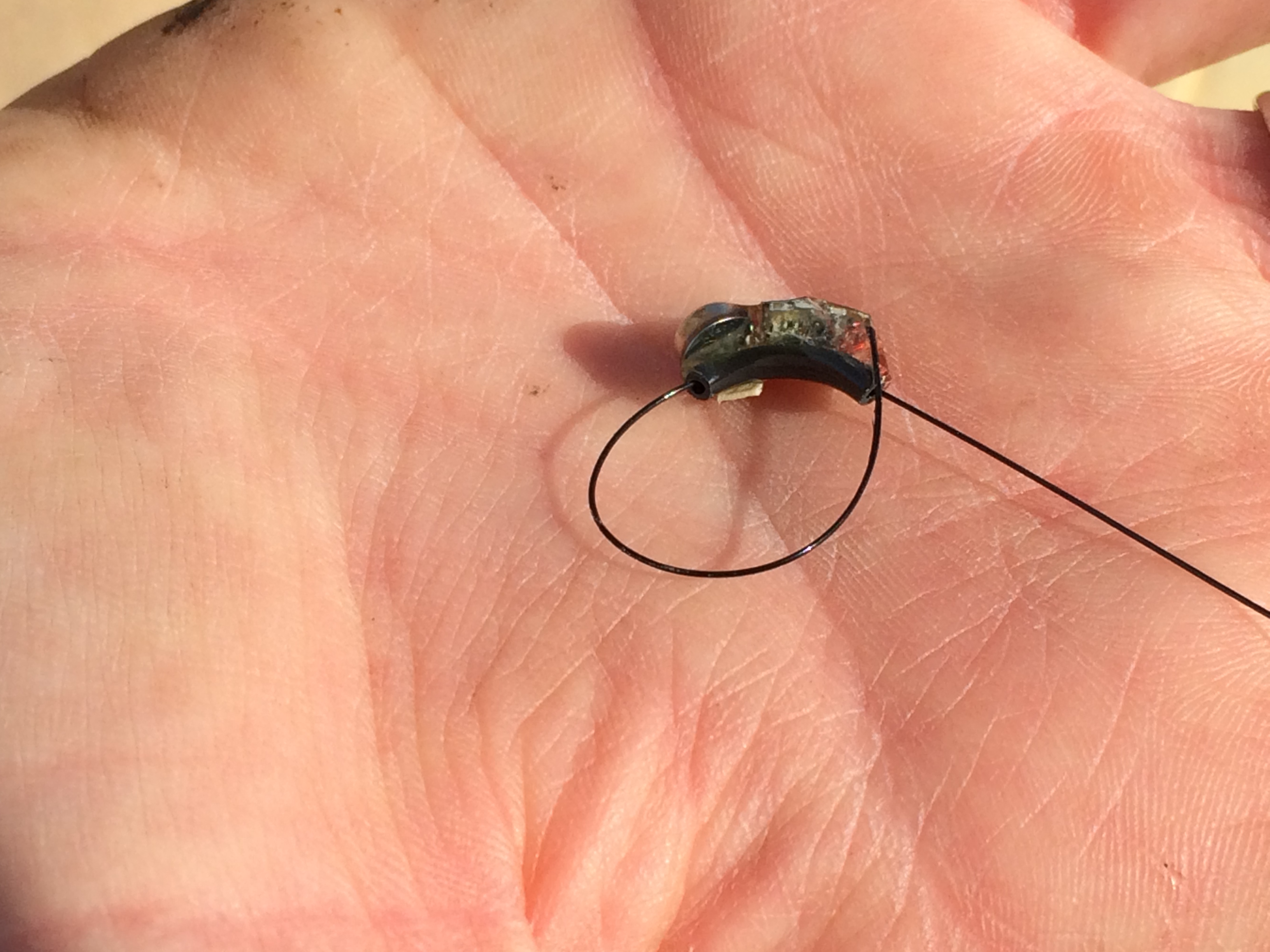 Tiny radio frequency collar for salt marsh harvest mouse